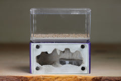 Mini Hearth (Purple 4222)