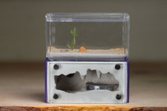Mini Hearth (Purple 4223)