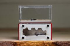 Mini Hearth (Red 5018)