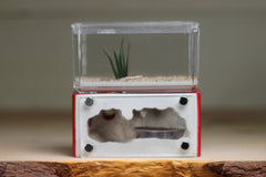 Mini Hearth (Red 5020)