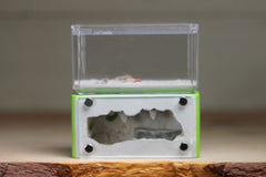 Mini Hearth (Lime 5022)