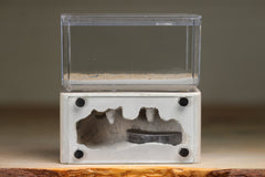 Mini Hearth (Bone 5059)