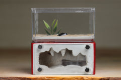 Mini Hearth (Red 5066)