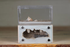 Mini Hearth (Bone 3047)(Vermiculite)