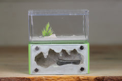 Mini Hearth (Lime 3075)(Glow)