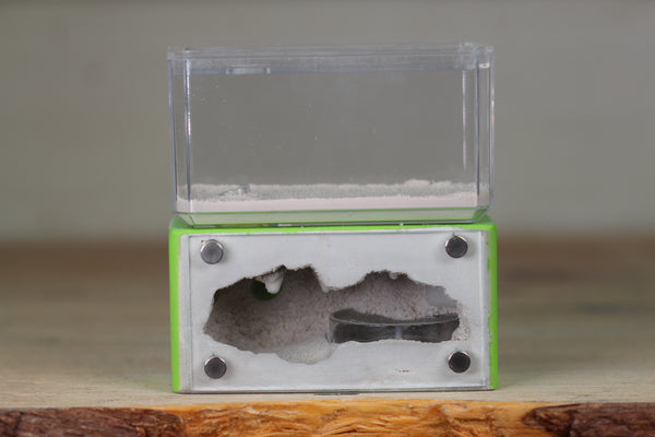 Mini Hearth (Lime 3078)