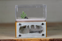 Mini Hearth (Terra 3087)