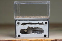 Mini Hearth, Bifurcated (Grey 3042)