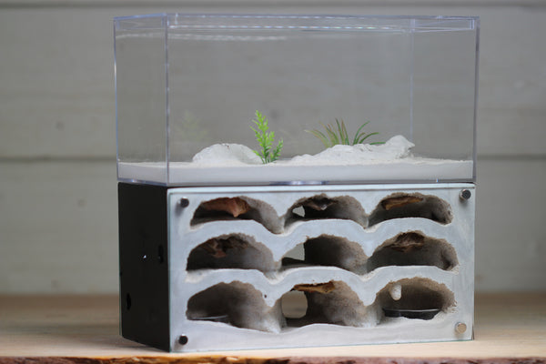 Nucleus III (Black 1008)(Rocky Interior)