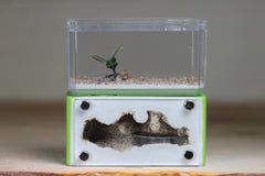 Mini Hearth (Lime 5220)(Golden Vermiculite)