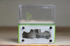 Mini Hearth (Lime 5222)