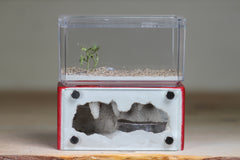 Mini Hearth (Red 5231)