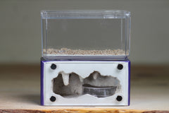 Mini Hearth (Purple 5234)