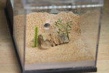 Fallen Fortess (Grey 3050)(Vermiculite)