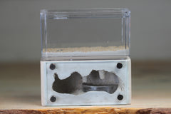 Mini Hearth (Bone 5152)