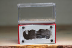 Mini Hearth (Red 5160)