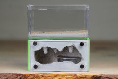 Mini Hearth (Lime 5166)