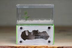 Mini Hearth (Lime 5167)