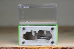 Mini Hearth (Lime 5168)