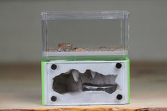 Mini Hearth (Lime 5169)