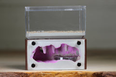 Mini Hearth (Chestnut 5409)(GLOW-purple)