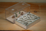 Labyrinth (1504 Bone)