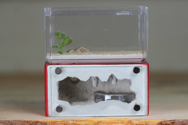 Mini Hearth (Red 5413)