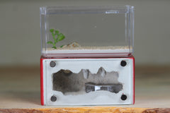Mini Hearth (Red 5413)