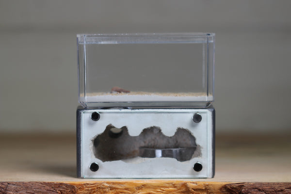 Mini Hearth (Grey 5503)