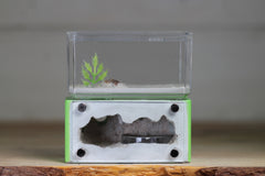 Mini Hearth (Lime 5523)