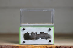 Mini Hearth (Lime 5524)