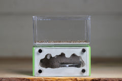 Mini Hearth (Lime 5525)