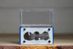 Mini Hearth (Dark Blue 5556)