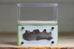 Mini Hearth (Lime 3055)