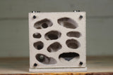 Fortress (Type I)(Bone Honeycomb)(MQ BOX)