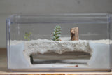 Custom Canyon Foraging Area 4 (9x5x5)
