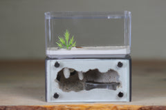 Mini Hearth (Grey 4556)