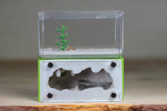 Mini Hearth (Lime 4574)
