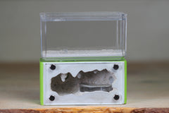 Mini Hearth (Lime 4575)