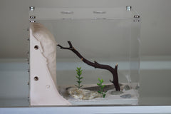 Treehouse Formicarium