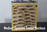Tower Nucleus
